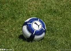 三井金属,股价走势图,解析,九游娱乐平台,九游娱乐官方网站,九游娱乐登录入口,九游娱乐app下载