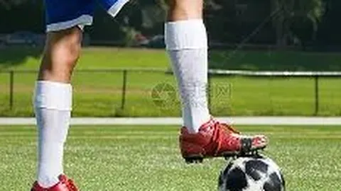 九游娱乐 资讯 111953 jn0